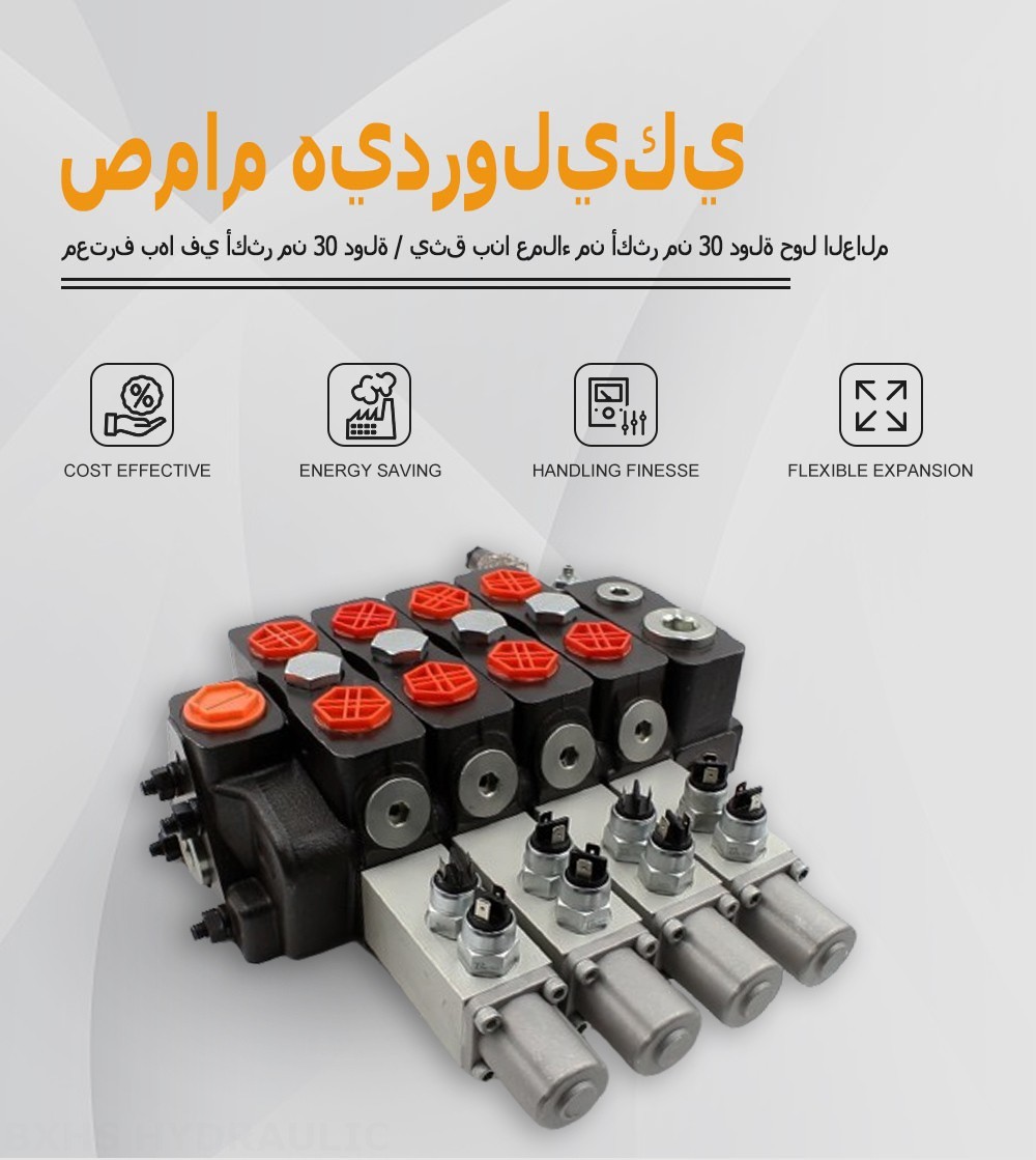 DLS180 Micro Switch يدوي صمام 4 صمام اتجاهي قطاع